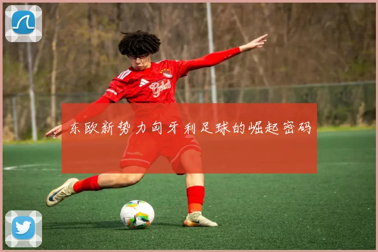 东欧新势力匈牙利足球的崛起密码